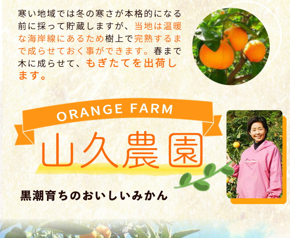 【ふるさと納税】【2026年先行予約】【限定】 完熟！木成り 八朔 7kg【はっさく ハッサク 八朔 さつき 和歌山産】 サムネイル3