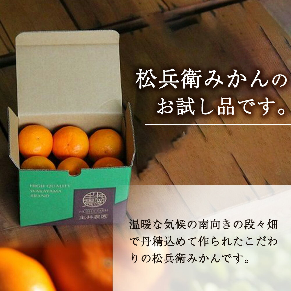 【ふるさと納税】主井農園 高級 松兵衛みかん ご家庭用 1kg お試し (サイズ混合)【ミカン 蜜柑 柑橘 温州みかん 和歌山】 サムネイル2