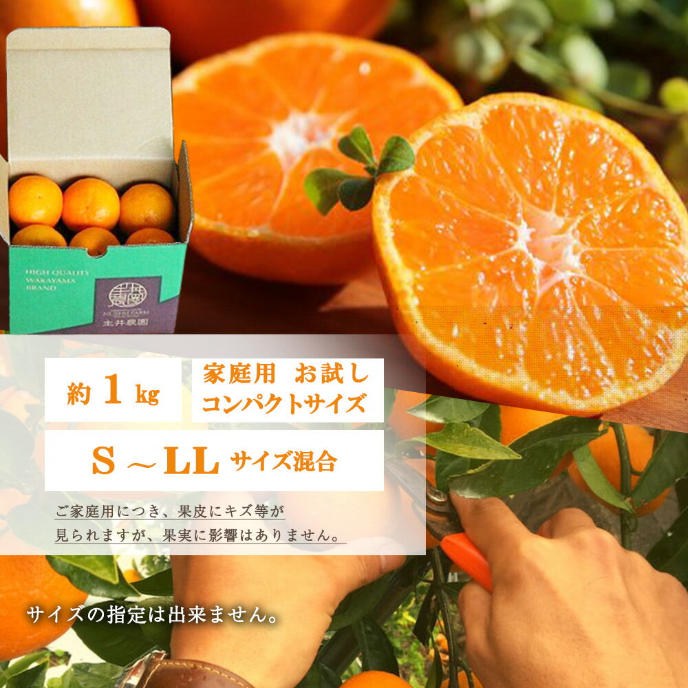 【ふるさと納税】主井農園 高級 松兵衛みかん ご家庭用 1kg お試し (サイズ混合)【ミカン 蜜柑 柑橘 温州みかん 和歌山】 サムネイル3
