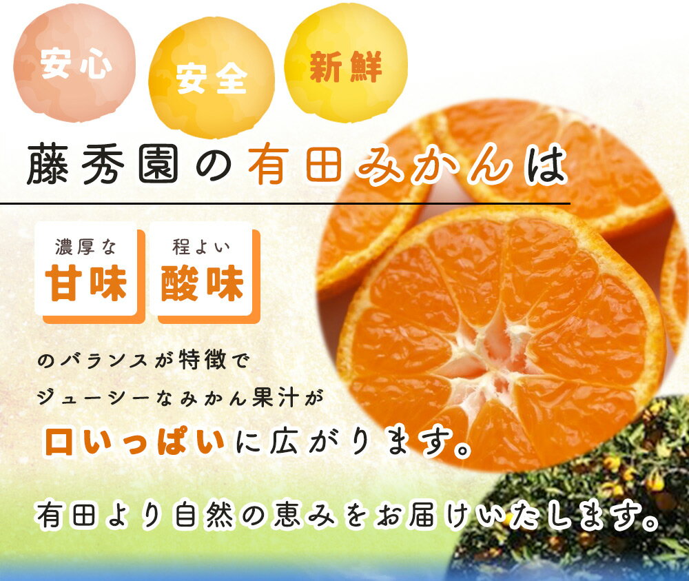 【ふるさと納税】【2025年先行予約】【限定】 高評価★4.82 赤秀 有田みかん 2kg 2S~Mサイズ おまかせ 手作業 新鮮 濃厚 甘み ほどよい 酸味 バランス 有田 みかん 温州みかん フルーツ 果物 柑橘 国産 食品 食べ物 おやつ デザート フレッシュ 産地直送 お取り寄せ 湯浅町 サムネイル2