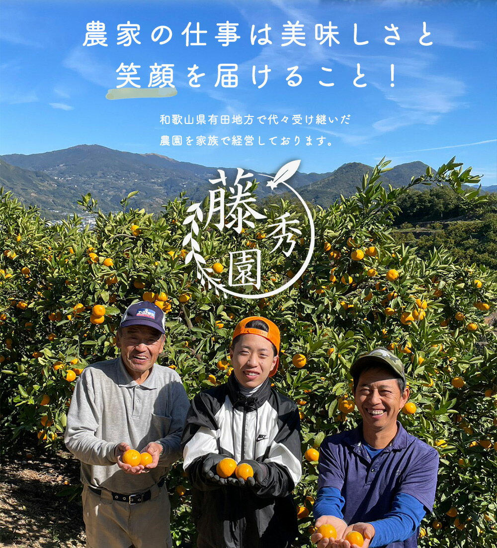 【ふるさと納税】【2025年先行予約】【限定】 高評価★4.82 赤秀 有田みかん 2kg 2S~Mサイズ おまかせ 手作業 新鮮 濃厚 甘み ほどよい 酸味 バランス 有田 みかん 温州みかん フルーツ 果物 柑橘 国産 食品 食べ物 おやつ デザート フレッシュ 産地直送 お取り寄せ 湯浅町 サムネイル3