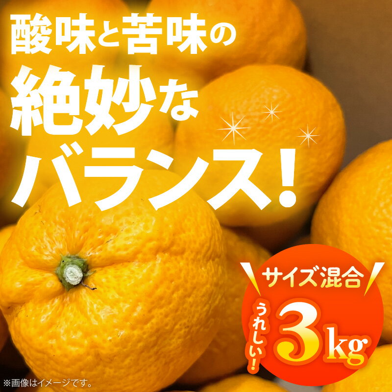 【ふるさと納税】国産 紀州 和歌山 じゃばら 果実 訳あり 家庭用 3kg サムネイル2