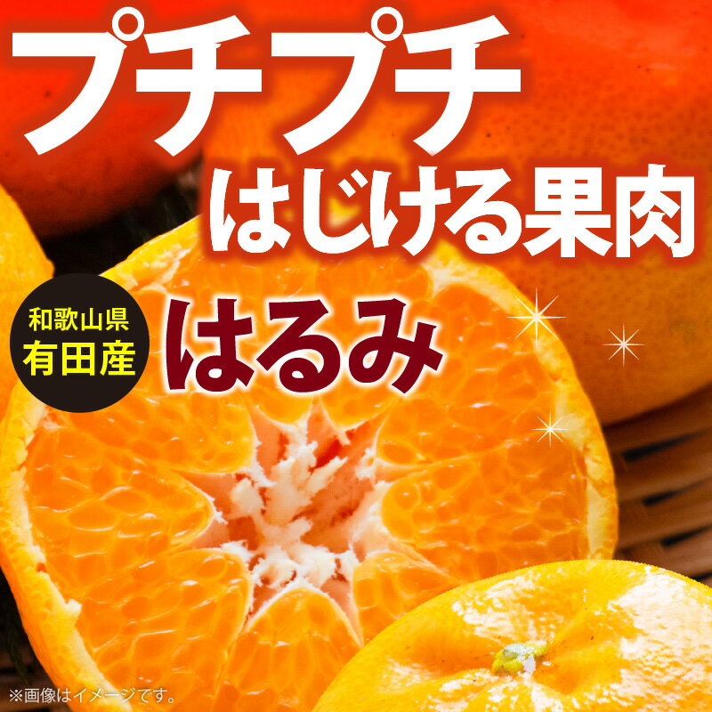 【ふるさと納税】【2026年先行予約】【限定】 和歌山有田の濃厚 はるみ 5kg (Lサイズ)【ハルミ 春見 ミカン 蜜柑 柑橘 和歌山 有田】 サムネイル2