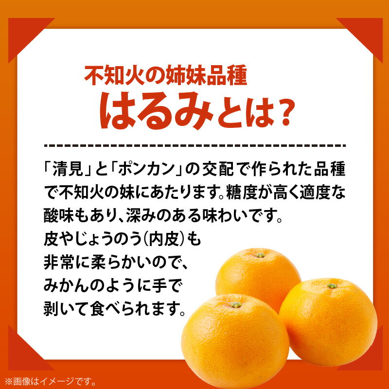 【ふるさと納税】【2026年先行予約】【限定】 和歌山有田の濃厚 はるみ 5kg (Lサイズ)【ハルミ 春見 ミカン 蜜柑 柑橘 和歌山 有田】 サムネイル3
