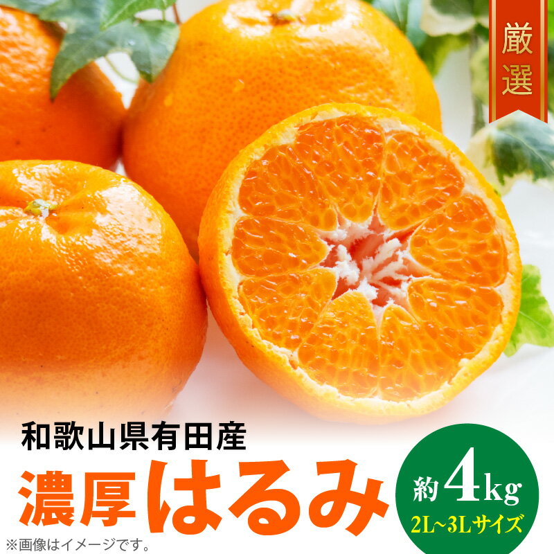 【2026年先行予約】【限定】 和歌山有田の濃厚 はるみ 4kg (2L～3Lサイズ)【ハルミ 春見 ミカン 蜜柑 柑橘 和歌山 有田】
