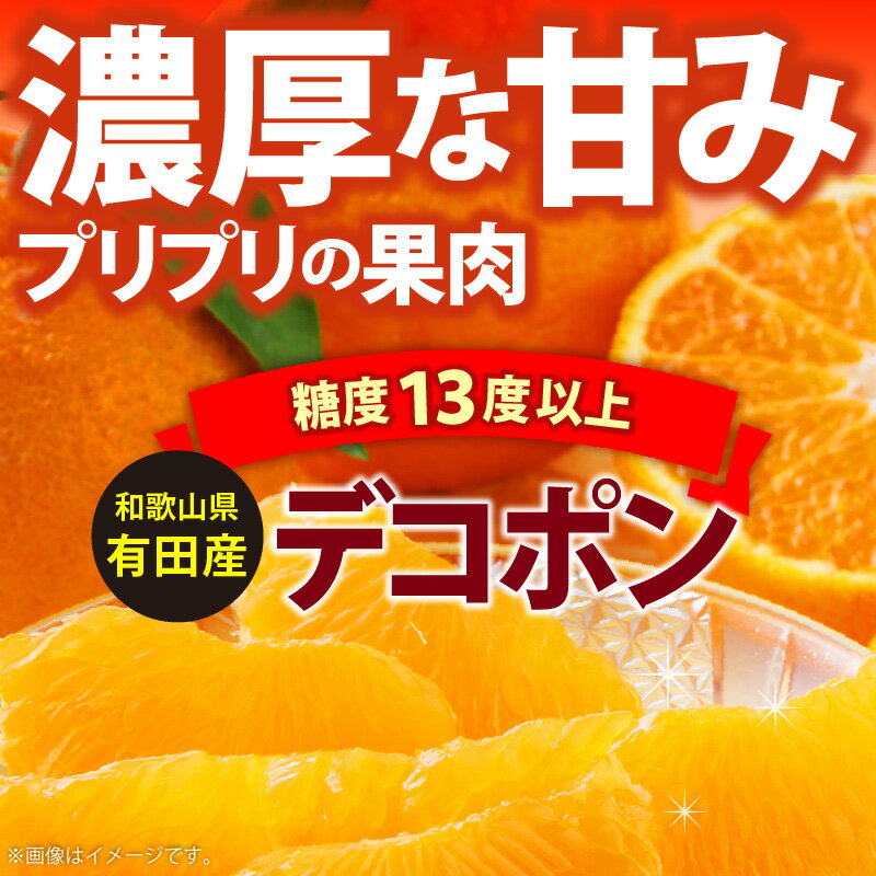 【ふるさと納税】【2026年先行予約】【限定】 デコポン 約 5kg 15玉 ～ 24玉 サイズ おまかせ 糖度 13度以上 選果 こだわり 厳選 濃厚 甘さ 適度 酸味 不知火 フルーツ 果物 デザート 柑橘 果実 甘み 国産 食べ物 お取り寄せフルーツ 有田産 和歌山県 湯浅町 送料無料 サムネイル3