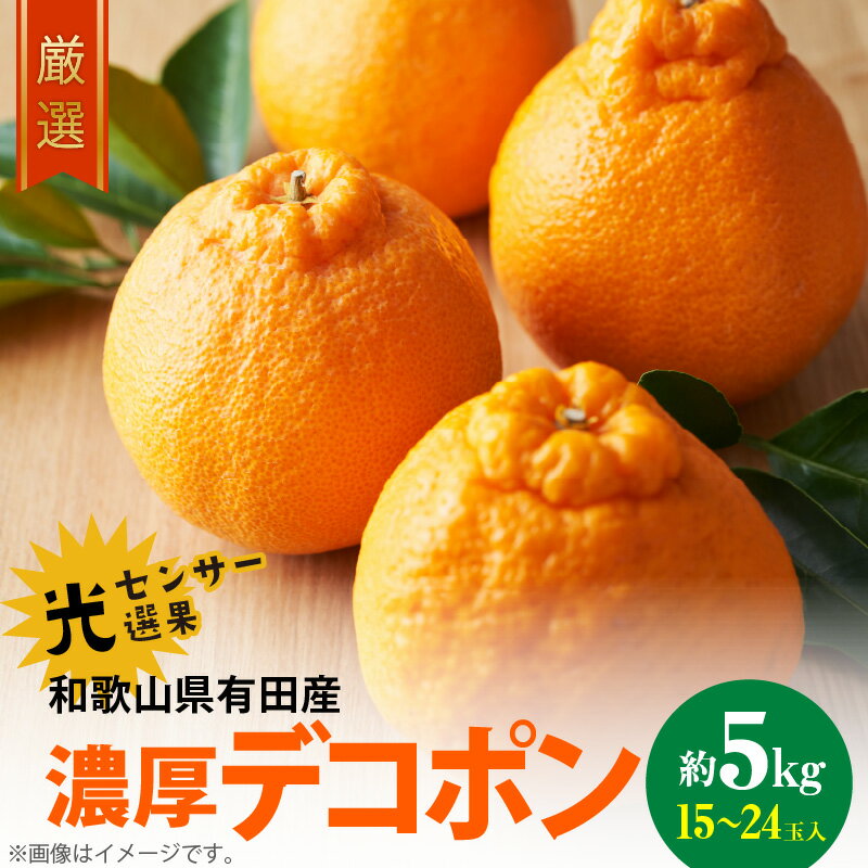 【2026年先行予約】【限定】 デコポン 約 5kg 15玉 ～ 24玉 サイズ おまかせ 糖度 13度以上 選果 こだわり 厳選 濃厚 甘さ 適度 酸味 不知火 フルーツ 果物 デザート 柑橘 果実 甘み 国産 食べ物 お取り寄せフルーツ 有田産 和歌山県 湯浅町 送料無料