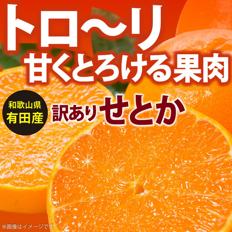 【ふるさと納税】【2026年先行予約】【限定】 柑橘の王様 和歌山有田の濃厚せとか 【訳あり 家庭用】 4～5kg【ミカン 蜜柑 春みかん 柑橘】 サムネイル2