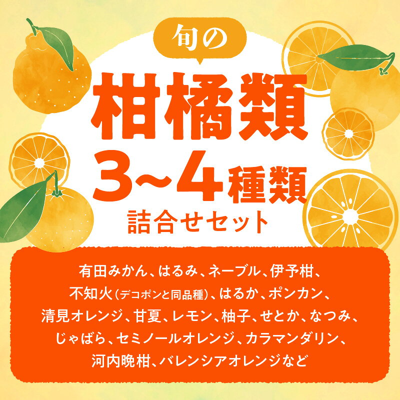 【ふるさと納税】【限定】 【2026年先行予約】 旬の柑橘 詰め合わせ セット 訳あり 選べる容量 2 ～ 10kg 旬の美味 みかん名産地 和歌山 有田 有田育ちの ご家庭用 サムネイル2