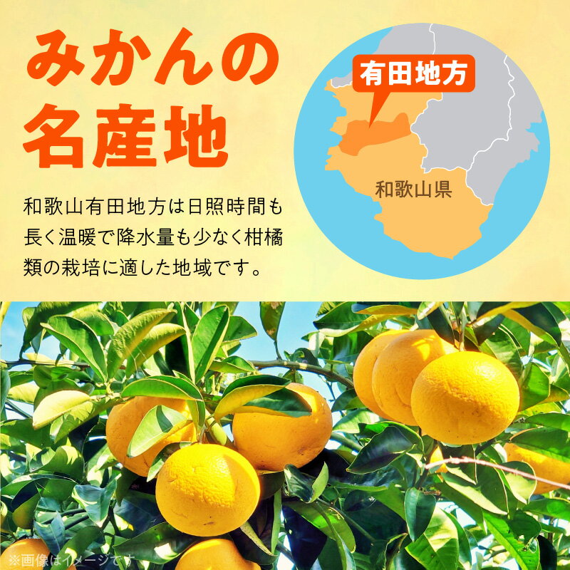 【ふるさと納税】【限定】 【2026年先行予約】 旬の柑橘 詰め合わせ セット 訳あり 選べる容量 2 ～ 10kg 旬の美味 みかん名産地 和歌山 有田 有田育ちの ご家庭用 サムネイル3