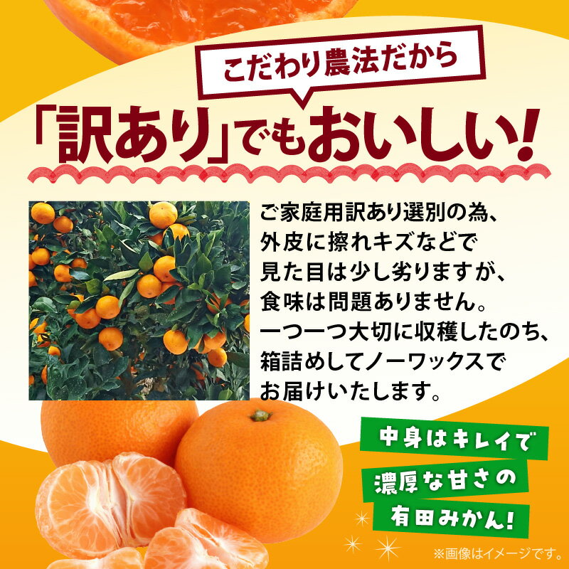 【ふるさと納税】【限定】 ご家庭用 完熟 有田みかん サイズ混合 2S-2L 選べる内容量 約 1.2kg ～ 10.2kg ほどよい 酸味 濃厚 甘味 味わい 抜群 採れたて 新鮮 厳しく 選別 こだわり 果物 フルーツ 果実 柑橘 食品 食べ物 デザート お取り寄せ 和歌山県 湯浅町 送料無料 サムネイル3
