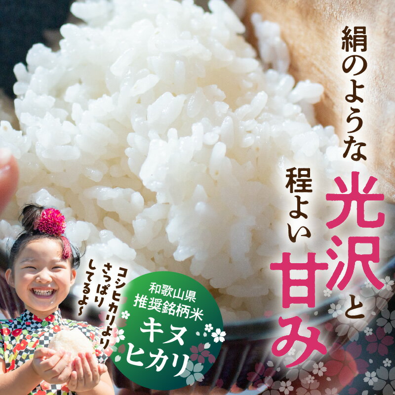 【ふるさと納税】【2025年産】 和歌山県産キヌヒカリ 選べる 内容量 5kg 10kg 20kg 【きぬひかり 送料無料 白米 上白米 国産米 キヌヒカリ お米ギフト 米 精米】 - 画像2