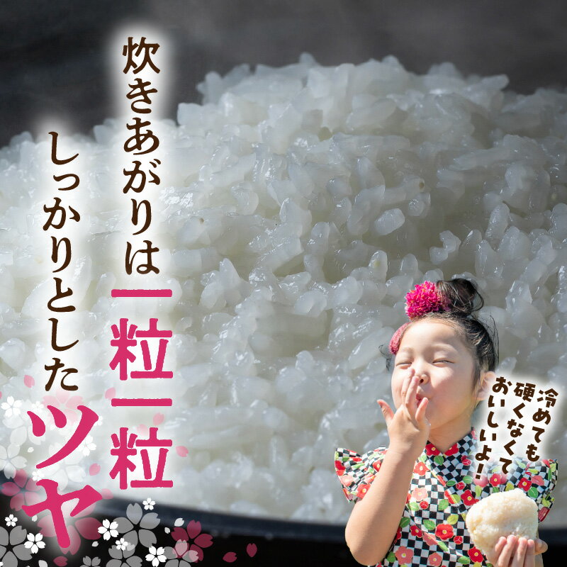 【ふるさと納税】【2025年産】 和歌山県産キヌヒカリ 選べる 内容量 5kg 10kg 20kg 【きぬひかり 送料無料 白米 上白米 国産米 キヌヒカリ お米ギフト 米 精米】 - 画像3