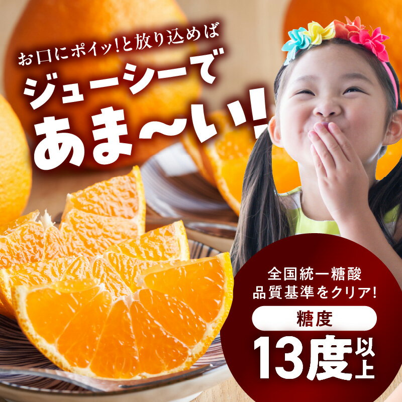 【ふるさと納税】【2026年先行予約】デコポン 秀品 約 5kg 18 ～ 24玉 不知火 甘味 濃厚 ジューシー 甘い 果汁 大きい果肉 薄皮 高品質 糖度 13度以上 柑橘 フルーツ 果物 食品 国産 有田産 和歌山県 湯浅町 マルナガ お取り寄せ 送料無料 サムネイル2