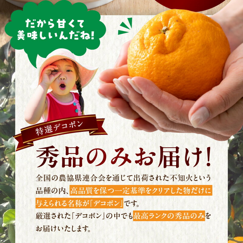 【ふるさと納税】【2026年先行予約】デコポン 秀品 約 5kg 18 ～ 24玉 不知火 甘味 濃厚 ジューシー 甘い 果汁 大きい果肉 薄皮 高品質 糖度 13度以上 柑橘 フルーツ 果物 食品 国産 有田産 和歌山県 湯浅町 マルナガ お取り寄せ 送料無料 サムネイル3