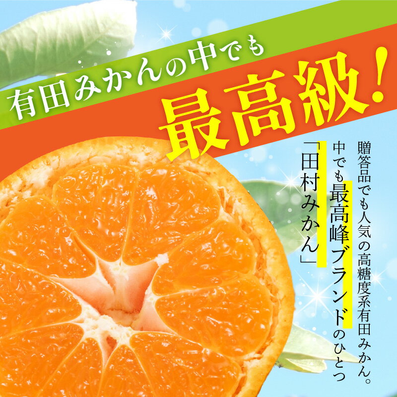 【ふるさと納税】【2025年先行予約】 田村みかん 約 5kg S ～ Lサイズ おまかせ 秀品 有田 高級みかん 高級 ギフトにもオススメ 贈り物 贈答 フルーツギフト フルーツ 果物 果実 みかん 温州みかん 有田みかん お取り寄せ 産地直送 送料無料 和歌山県 湯浅町 サムネイル3