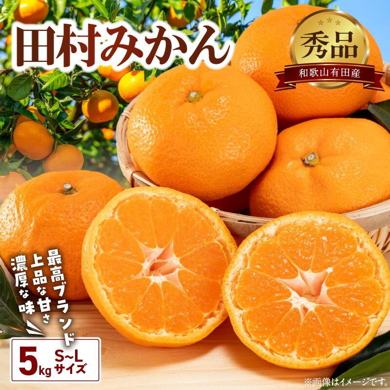 【2025年先行予約】 田村みかん 約 5kg S ～ Lサイズ おまかせ 秀品 有田 高級みかん 高級 ギフトにもオススメ 贈り物 贈答 フルーツギフト フルーツ 果物 果実 みかん 温州みかん 有田みかん お取り寄せ 産地直送 送料無料 和歌山県 湯浅町