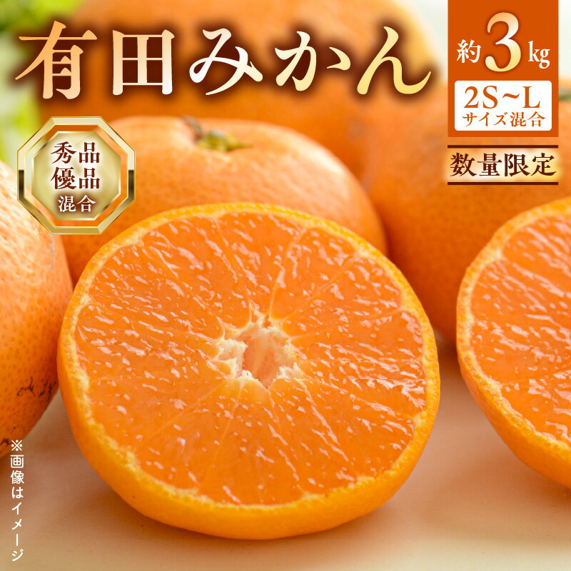 【2025年先行予約】 数量限定 期間限定 有田みかん 約 3kg 2S~Lサイズ サイズ混合 30個 前後 秀品 優品 紀州 有田 みかん 温州みかん フルーツ 果実 甘み 酸味 絶妙 バランス 果物 柑橘 国産 食品 食べ物 マルシ農園 お取り寄せ 和歌山県 湯浅町 送料無料