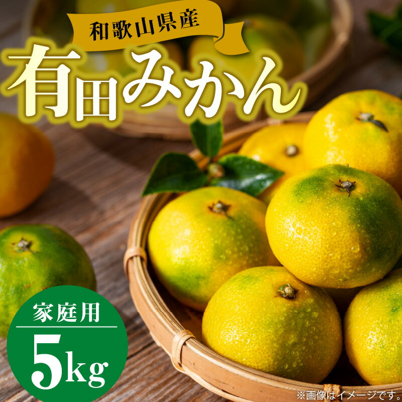 【2025年先行予約】【限定】 【訳あり】 和歌山県産 有田みかん 5kg 【ミカン 蜜柑 柑橘 温州みかん 和歌山 有田】
