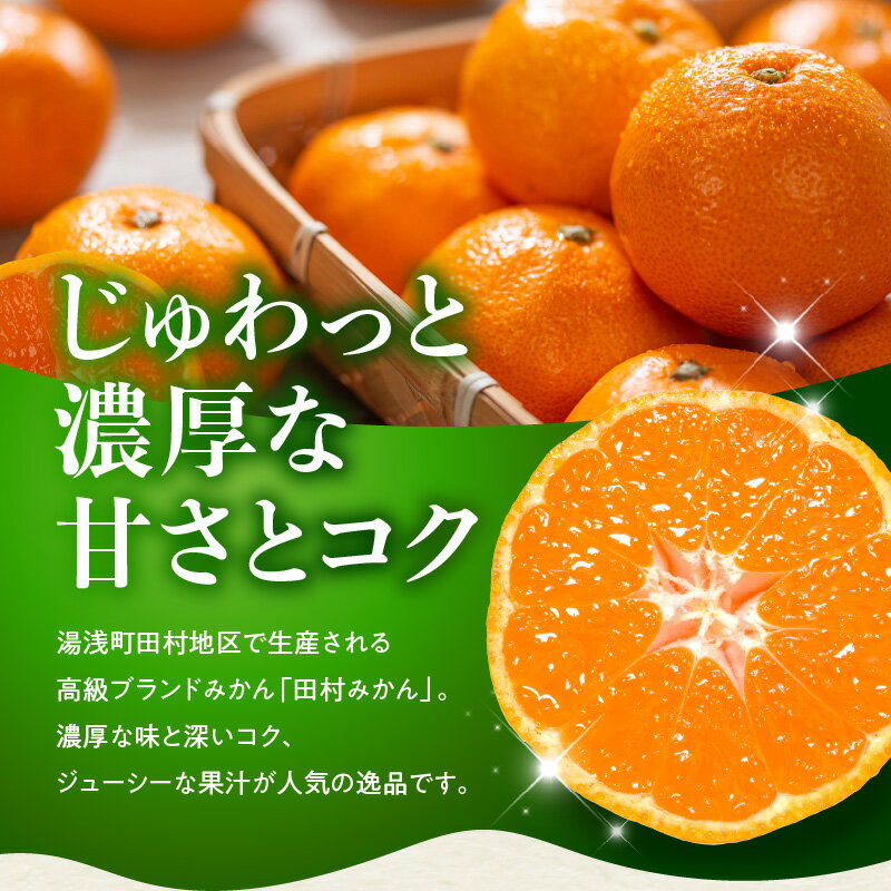 【ふるさと納税】【2025年 先行予約】田村みかん 秀品 約 5kg 2Sサイズ 高級ブランド 田村みかん 小玉 みかん 温州みかん フルーツ 果物 柑橘 果汁 ジューシー 赤秀品 青秀品 国産 食品 食べ物 期間限定 お取り寄せ 和歌山県 湯浅町 送料無料 サムネイル3