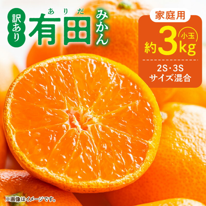 【限定】 【2025年先行予約】ご家庭用 有田みかん 和歌山 小玉(2S,3Sサイズ混合) 約3kg