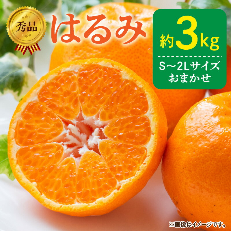 【限定】【2026年先行予約】 秀品 はるみ 和歌山 有田 S～2Lサイズ 大きさお任せ 3kg