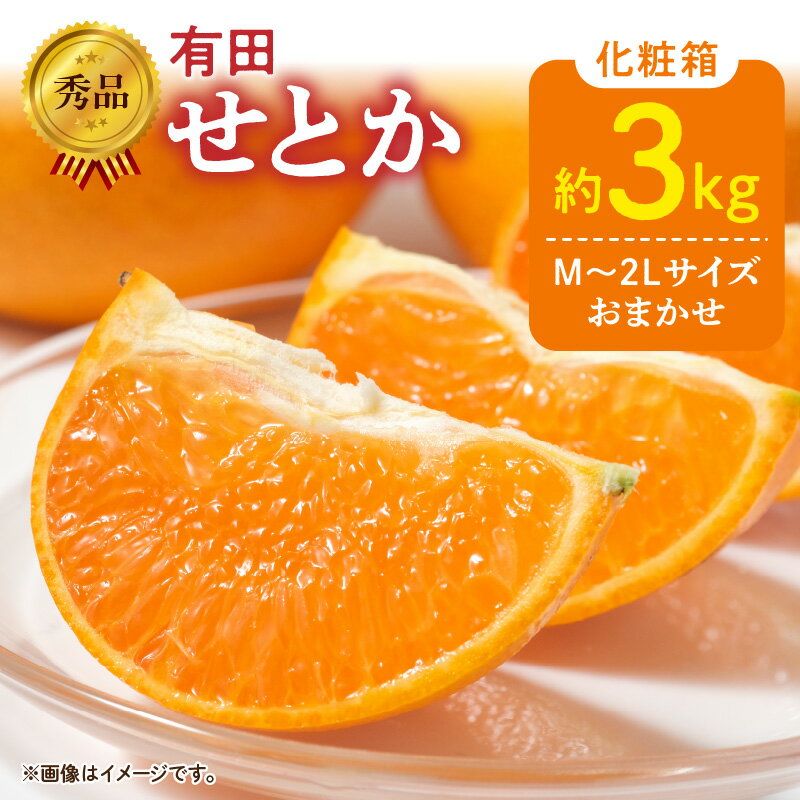 【限定】【2026年先行予約】秀品 せとか 和歌山 有田 化粧箱 M～2Lサイズ 大きさお任せ 3kg