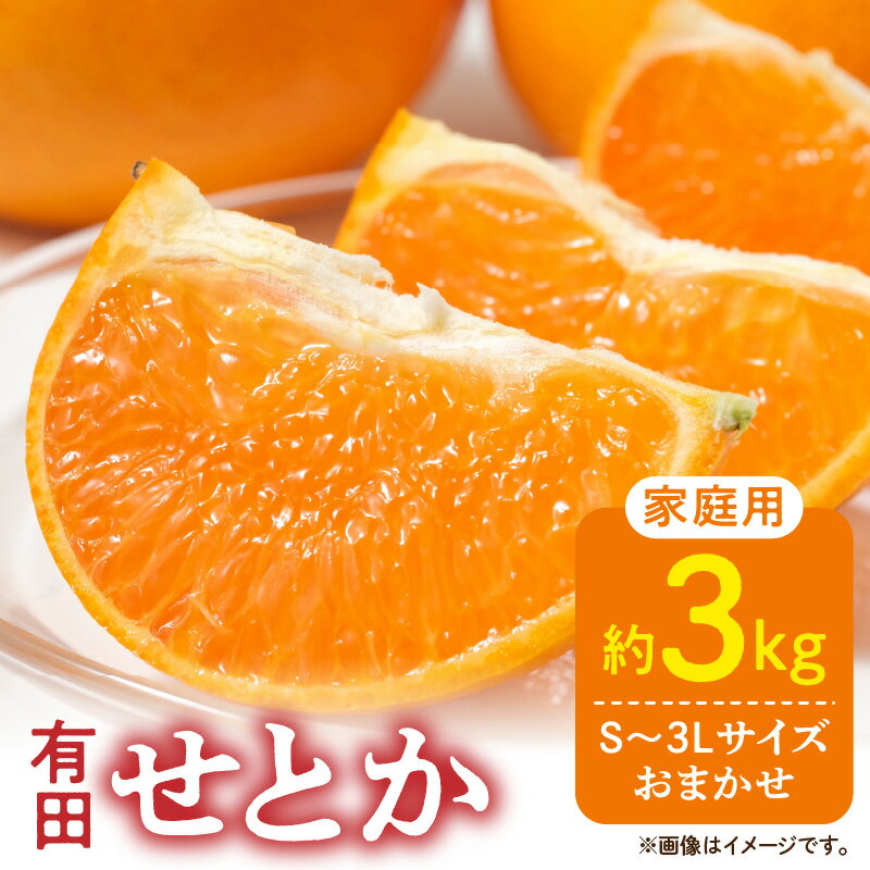 【限定】【2026年先行予約】ご家庭用 せとか 和歌山 有田 S～3Lサイズ 大きさお任せ 3kg