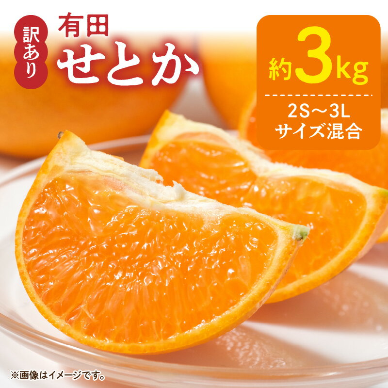 【限定】 【2026年先行予約】 訳あり せとか 約3kg 2S～3Lサイズ混合 ブランド 有田産 味 深み 濃厚 果汁 国産 果物 フルーツ 果実 食品 食べ物 おやつ デザート お取り寄せ お取り寄せフルーツ 和歌山県 湯浅町 送料無料