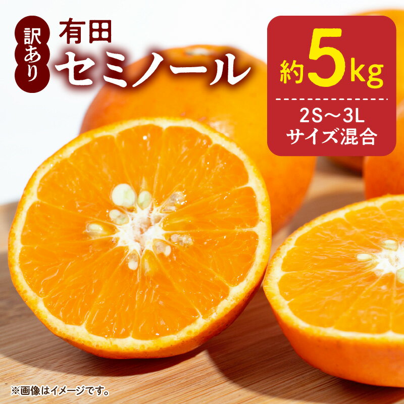 【限定】【2026年先行予約】訳あり セミノール 和歌山 有田 2S～3Lサイズ混合 5kg