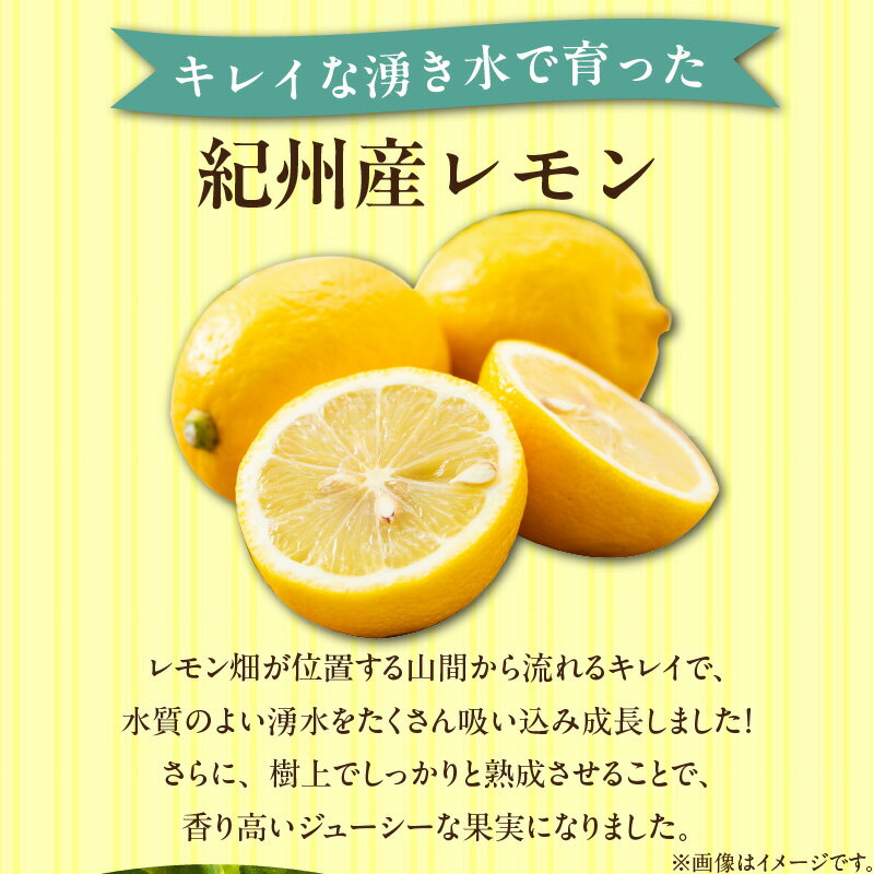 【ふるさと納税】【2026年先行予約】 完熟 レモン 選べる 内容量 約 2kg ～ 10kg 皮まで使用可能 栽培期間中農薬不使用 熟成 香り高い ジューシー 国産 柑橘 フルーツ 果物 果実 お菓子 タルト シロップ ジャム お酒 レモンサワー 果汁 お取り寄せ 和歌山県 湯浅町 送料無料 サムネイル2