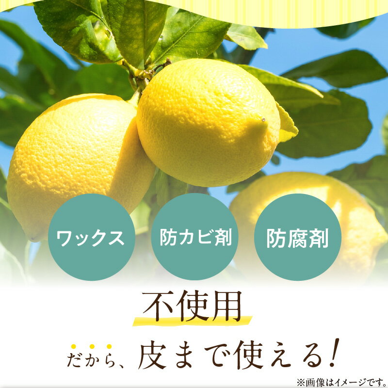 【ふるさと納税】【2026年先行予約】 完熟 レモン 選べる 内容量 約 2kg ～ 10kg 皮まで使用可能 栽培期間中農薬不使用 熟成 香り高い ジューシー 国産 柑橘 フルーツ 果物 果実 お菓子 タルト シロップ ジャム お酒 レモンサワー 果汁 お取り寄せ 和歌山県 湯浅町 送料無料 サムネイル3