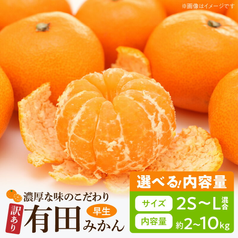 【訳あり 家庭用】【TVで紹介されました】濃厚な味わいのこだわり 有田みかん 内容量 選べる 2kg～10kg (早生みかん・大小混合)