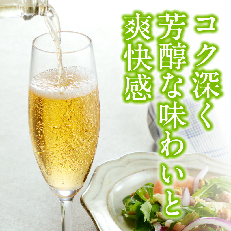 【ふるさと納税】おいしい梅酒 スパークリング 750ml 肉厚 香り 紀州南高梅 使用 白ワイン コク 深い 香料 酸味料 無添加 本格 梅酒 梅 酒 アルコール 国産 お取り寄せ 和歌山県 湯浅町 送料無料 サムネイル2