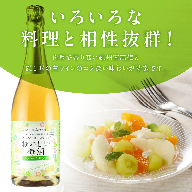 【ふるさと納税】おいしい梅酒 スパークリング 750ml 肉厚 香り 紀州南高梅 使用 白ワイン コク 深い 香料 酸味料 無添加 本格 梅酒 梅 酒 アルコール 国産 お取り寄せ 和歌山県 湯浅町 送料無料 サムネイル3
