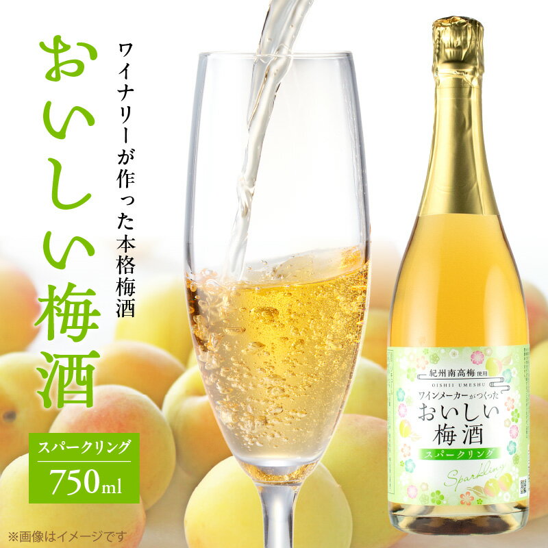 おいしい梅酒 スパークリング 750ml 肉厚 香り 紀州南高梅 使用 白ワイン コク 深い 香料 酸味料 無添加 本格 梅酒 梅 酒 アルコール 国産 お取り寄せ 和歌山県 湯浅町 送料無料