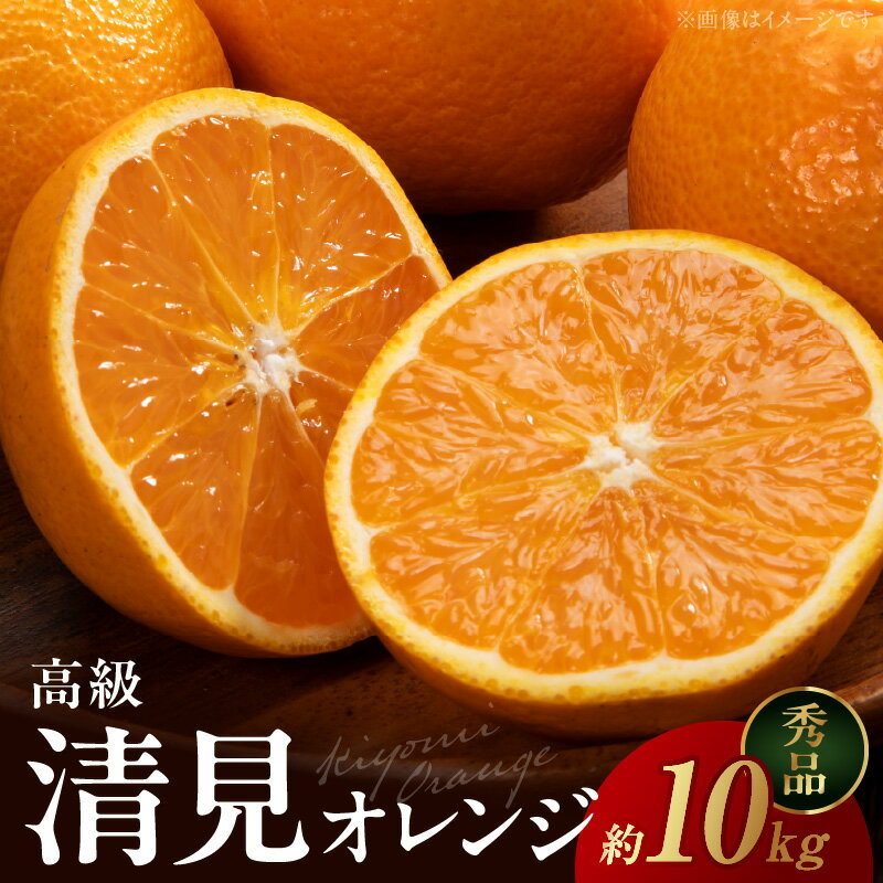 【限定】 清見オレンジ 約 10kg 秀品 高級 厳選 大きい 果実 さっぱり 甘み みずみずしい 香り ジューシー 爽やか 丁寧 箱詰め 贈り物 ギフト 贈答 清見 オレンジ 有田 みかん 果物 フルーツ デザート 食品 お取り寄せ 和歌山県 湯浅町 送料無料