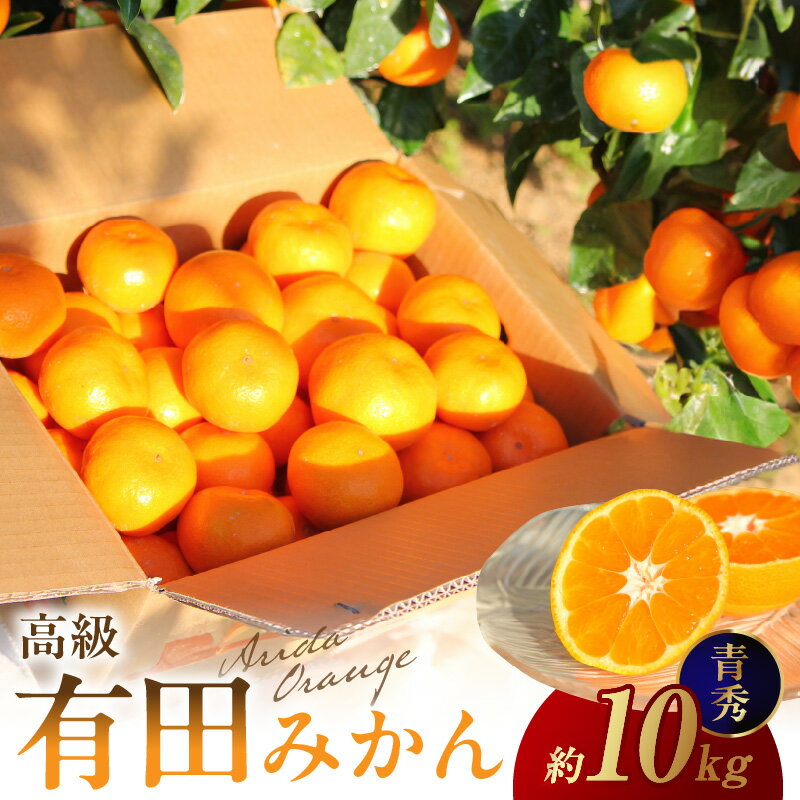 【限定】高級有田みかん(青秀) 10kg