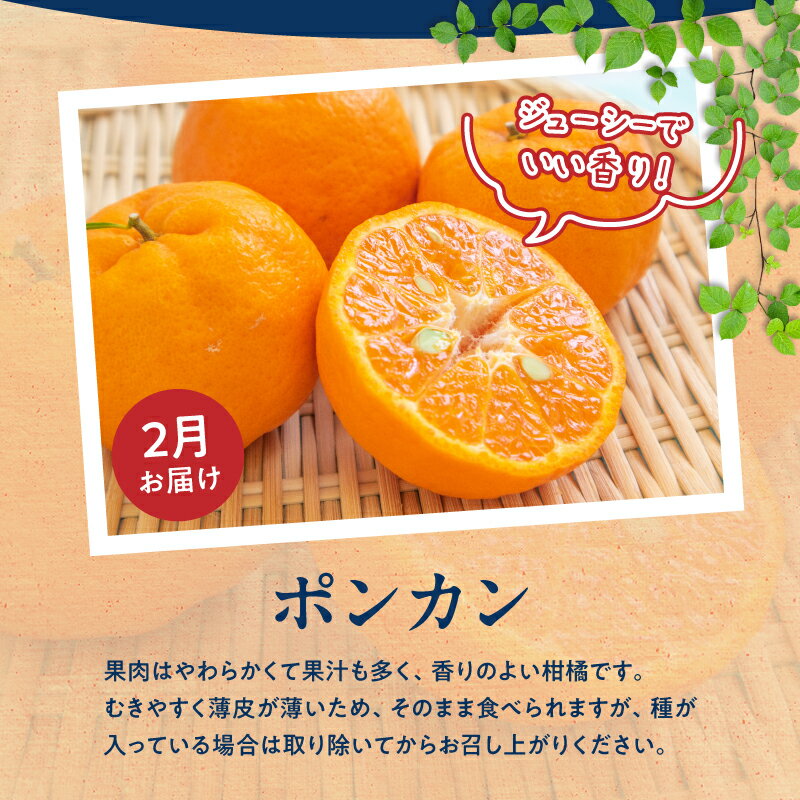 【ふるさと納税】【定期便 全3回】 紀州 和歌山産 旬 フルーツ ポンカン なつみ 小玉 スイカ ひとりじめ 柑橘 果汁 薄皮 甘味 濃厚 完熟 高糖度 印南町 果物 果実 デザート 国産 お取り寄せ 和歌山県 湯浅町 送料無料 サムネイル3