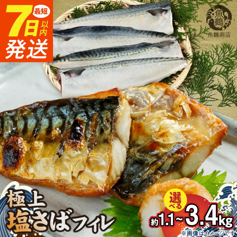 《7日以内発送》 《選べる配送月》 リピーター続出！ 高評価★4.75 塩さば フィレ 選べる 8枚 ～ 24枚入 真空パック 切り身 おかず 肉厚 焼くだけ 簡単 万能 さば 魚介 海鮮 海の幸 海産物 水産加工品 食品 食べ物 冷凍 グルメ お取り寄せ 送料無料