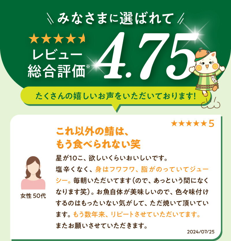 【ふるさと納税】 《7日以内発送》 《選べる配送月》 リピーター続出！ 高評価★4.75 塩さば フィレ 選べる 8枚 ～ 24枚入 真空パック 切り身 おかず 肉厚 焼くだけ 簡単 万能 さば 魚介 海鮮 海の幸 海産物 水産加工品 食品 食べ物 冷凍 グルメ お取り寄せ 送料無料 サムネイル3
