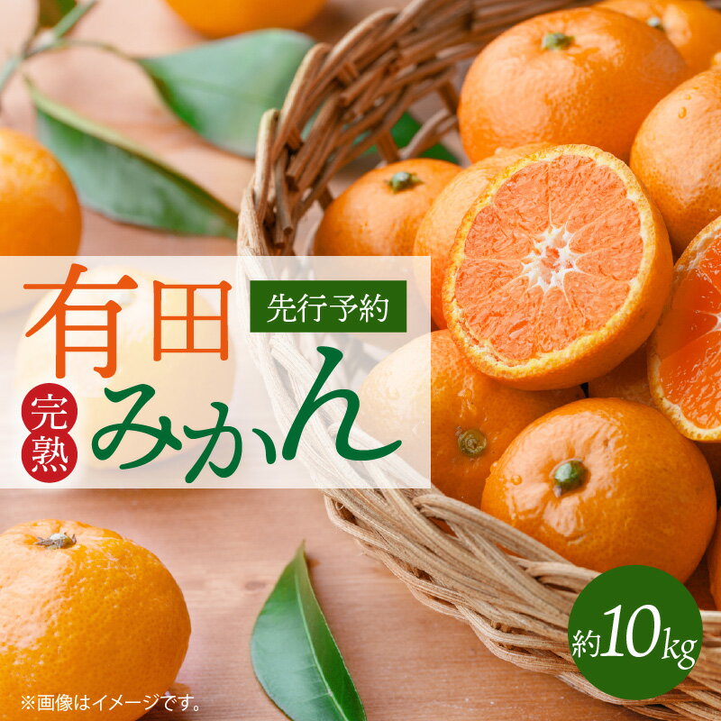 【限定】 【2026年11月下旬頃より発送】完熟 有田みかん 約10kg 厳選 美味しい コク深い 味わい 酸味甘み 濃厚 完熟みかん ミネラル フルーツ 柑橘 果物 果実 温州みかん みかん お取り寄せ お取り寄せフルーツ 産地直送 和歌山県湯浅町 紀州有田産 送料無料