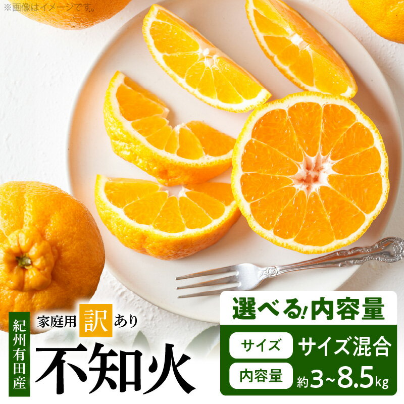 【限定】 【2026年先行予約】 紀州有田産 不知火 (しらぬい) 選べる 容量 3kg ~ 8.5kg サイズ混合 【家庭用 訳あり】 デコポン フルーツ デザート 柑橘 果物 果実 みかん お取り寄せ 和歌山県 湯浅町 送料無料