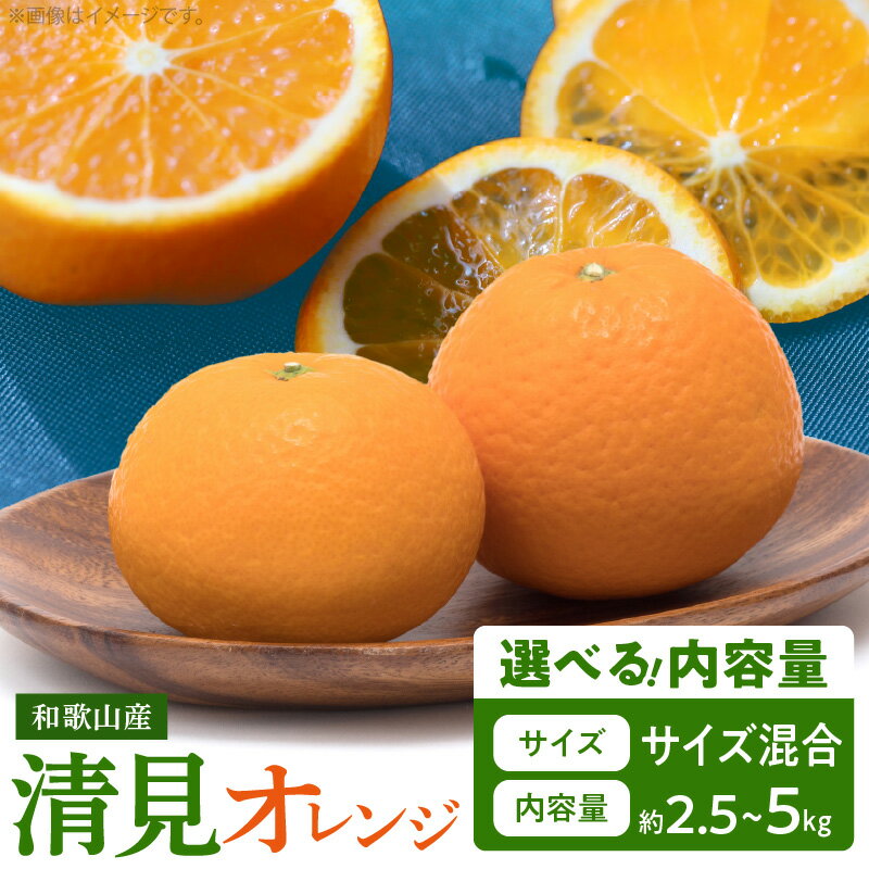 【限定】【2026年先行予約】 オレンジ 清見オレンジ 選べる 容量 約 2.5kg 5kg サイズ おまかせ フルーツ 果物 柑橘 果実 甘い 果汁 ジューシー コク 柑橘の親 国産 食品 食べ物 魚鶴商店 平成の三大柑橘 お取り寄せ 和歌山県 湯浅町 送料無料