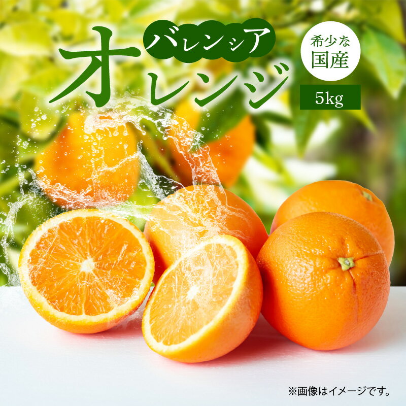 【限定】 バレンシアオレンジ 5kg 希少 国産 秀品 果汁 豊富 糖度 高い 甘い 爽快感 香り 酸味 味わい スッキリ 栄養補給 オレンジ 柑橘 果物 果実 フルーツ 食品 食べ物 ジュース デザート お取り寄せ お取り寄せフルーツ 和歌山県 湯浅町 送料無料