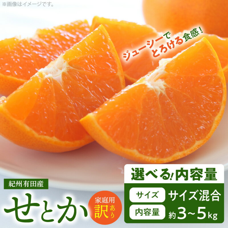 【2027年先行予約】【限定】訳あり せとか 選べる 内容量 3kg 5kg サイズ混合 柔らかい とろける食感 濃厚 ジューシー 甘い みずみずしい ほどよい酸味 みかん 春みかん フルーツ 柑橘 果物 果実 家庭用 国産 お取り寄せ 和歌山県 湯浅町 送料無料