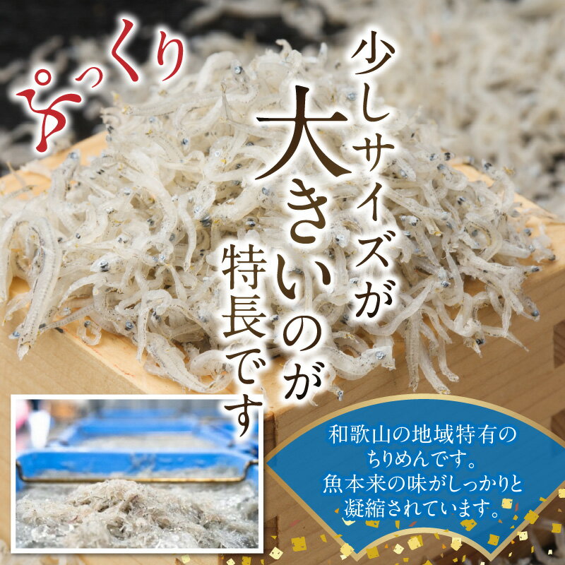 【ふるさと納税】【限定】 高評価 ぷっくり ちりめん 選べる 容量 400g 1kg しらす干し 釜茹で ちりめんじゃこ シラス サイズ 大きめ 甘み 老舗の味 魚 海鮮 魚介 サラダ 和え物 料理 アレンジ いわし 稚魚 お取り寄せ 和歌山県 湯浅町 お取り寄せグルメ 送料無料 サムネイル3
