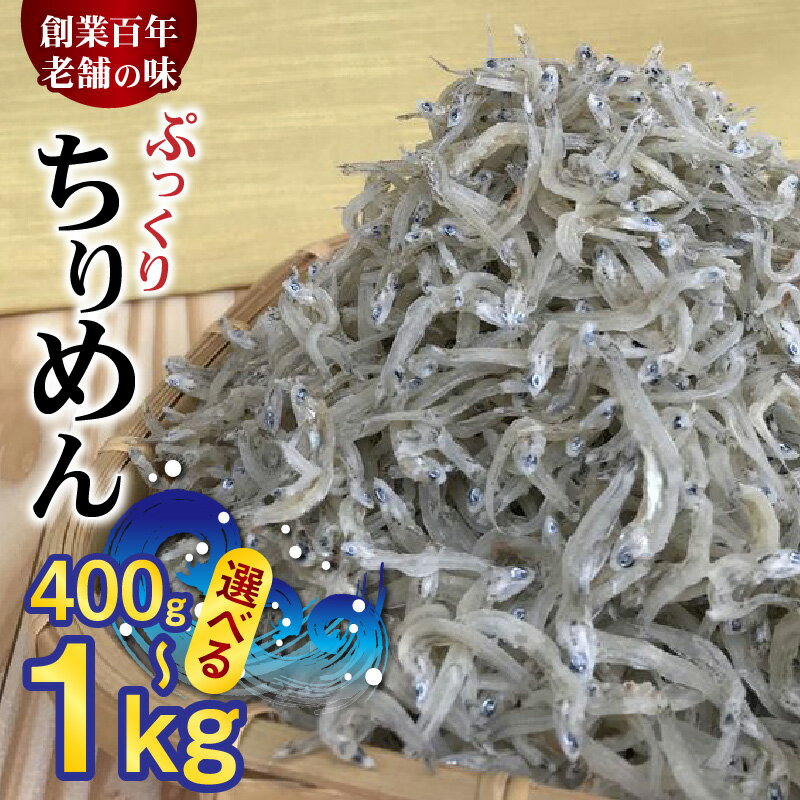 【限定】 高評価 ぷっくり ちりめん 選べる 容量 400g 1kg しらす干し 釜茹で ちりめんじゃこ シラス サイズ 大きめ 甘み 老舗の味 魚 海鮮 魚介 サラダ 和え物 料理 アレンジ いわし 稚魚 お取り寄せ 和歌山県 湯浅町 お取り寄せグルメ 送料無料