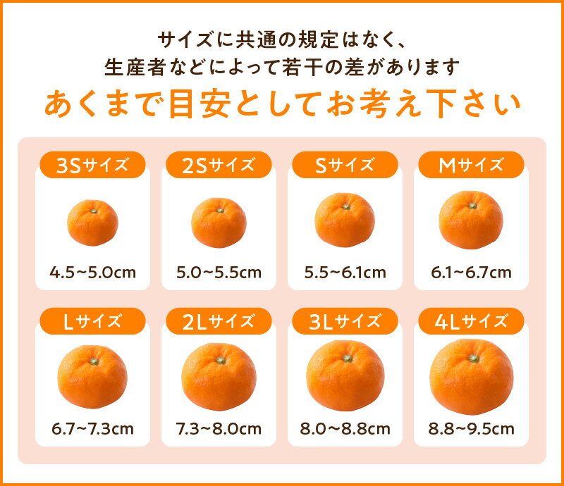 【ふるさと納税】【限定】 【農家直送】 濃厚 有田みかん サイズ2S-L 選べる容量 1.3kg ～ 10.2kg【ミカン 蜜柑 オレンジ 柑橘 温州みかん 和歌山 有田】 サムネイル3