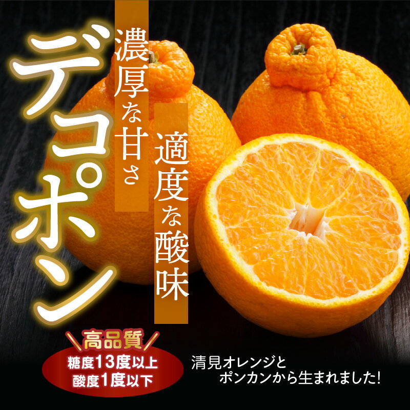 【ふるさと納税】【2026年先行予約】デコポン 秀品 18玉～24玉 和歌山県有田産【でこぽん デコポン しらぬい 不知火 柑橘】 サムネイル2